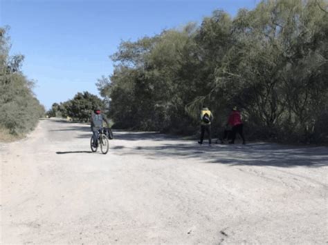 Se Deteriora Carretera En Nuevo Progreso