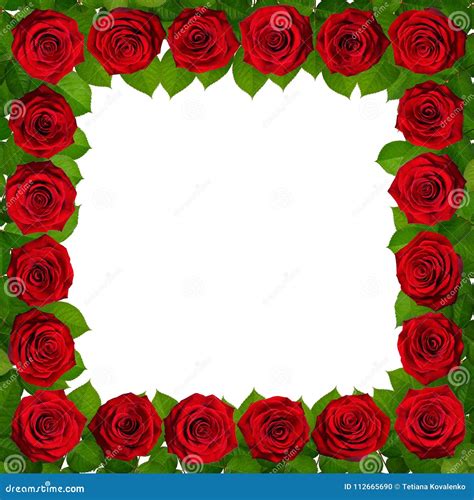 Рамка с красными розами белизна изолированная предпосылкой Иллюстрация ...