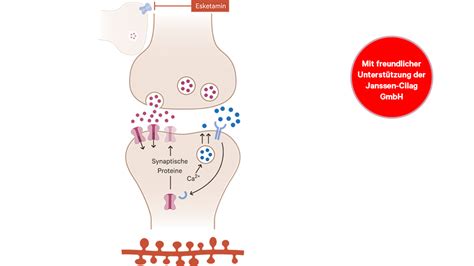 Arzneimitteltherapie extra - AMT