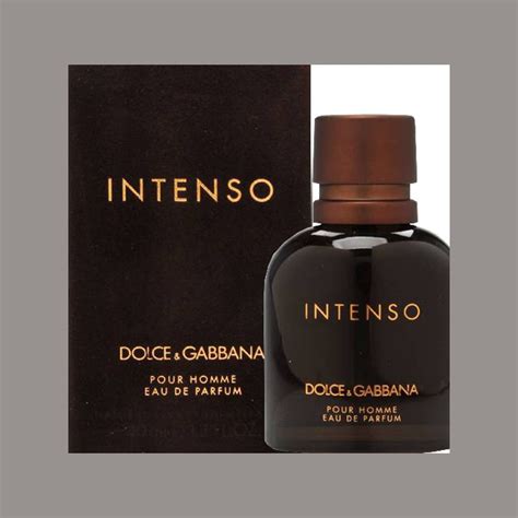 D&G Intenso For Men - Perfumes Plus International