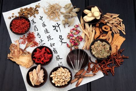 The History of Chinese Medicine