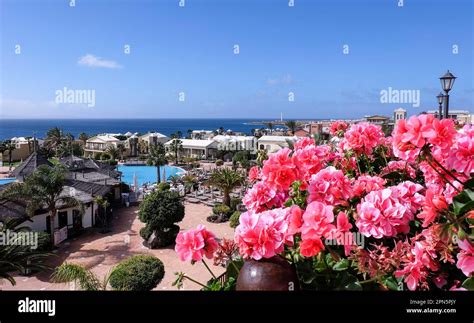 rubicon palace  res stock photography  images alamy