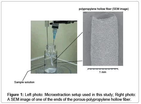 The Use Of A Beveled Porous Polypropylene Hollow Fiber For Liquid