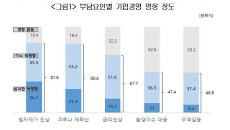 “기업경영 3대 부담원자재값 상승·코로나19 재확산·금리인상” 서울경제