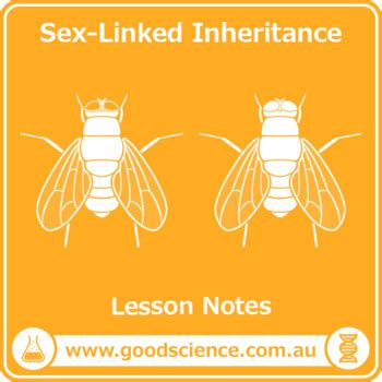 Sex Linked Inheritance Lesson Notes By Good Science Worksheets