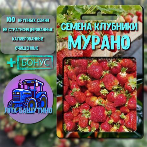 Клубника, Земляника и клубника Мурано_1 - купить по выгодным ценам в ...