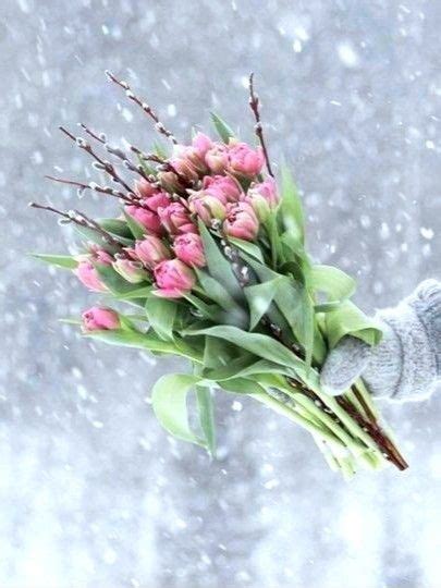 Ghim của Người ghim trên Snow&Flowers