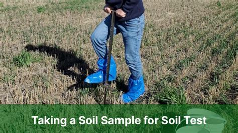 How To Take A Soil Sample A Step By Step Guide Testing Lab