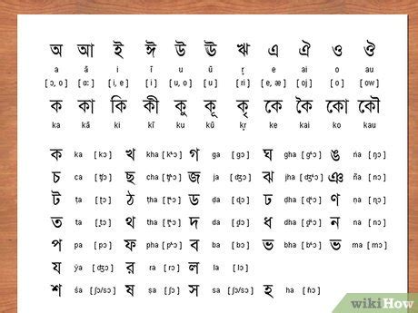 How to Say Common Words in Bengali: 15 Steps (with Pictures)