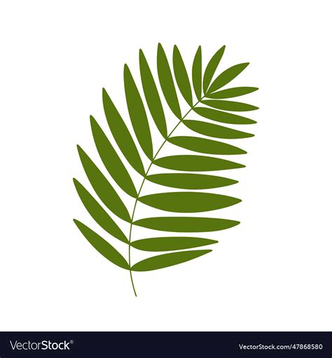 Palm leaf Royalty Free Vector Image - VectorStock