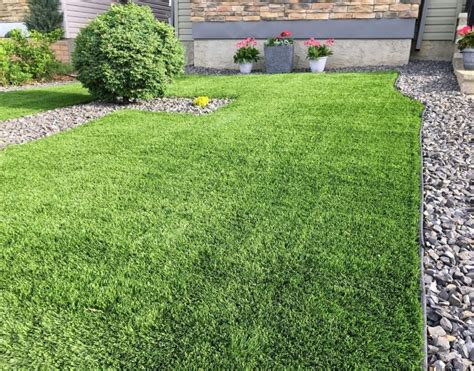 3 Essential Artificial Grass Facts Installer Manteca Wants You To Know