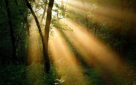 Download Beautiful Depiction Of Sun Rays Wallpaper