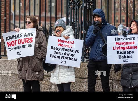 Peta Protesters At Harvard University Outraged Over Cruel And Unusual