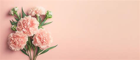 Premium Photo Carnation Bouquet On Pastel Pink Background With Copy