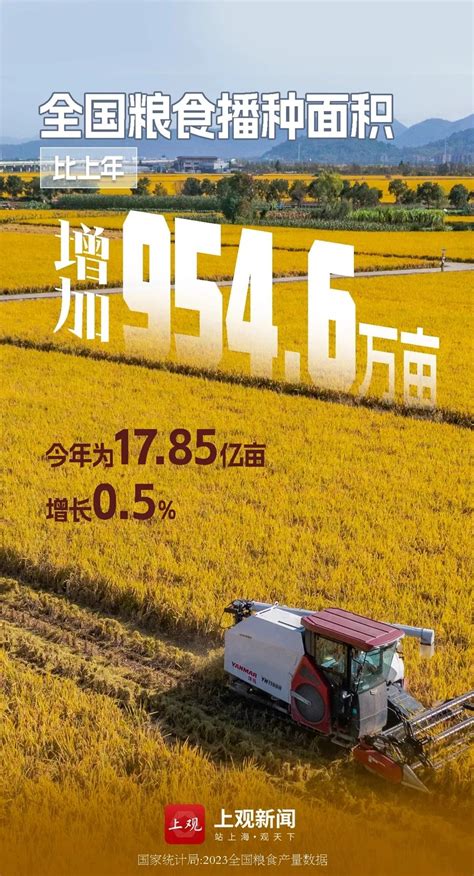 国家统计局：今年粮食产量再创新高，连续9年超13万亿斤