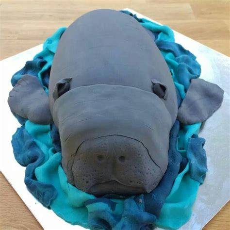 Manatee♡ Cake Manatee Animal Cakes 15th Birthday Cakes