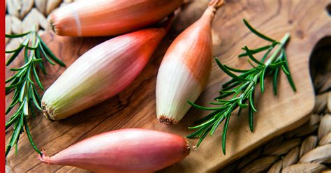 Лук-шалот: сорта, которые можно посадить на своем участке