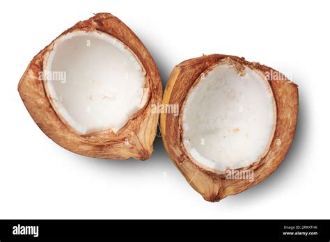 Crack Opened King Coconut Variety Of Coconut Native To Sri Lanka