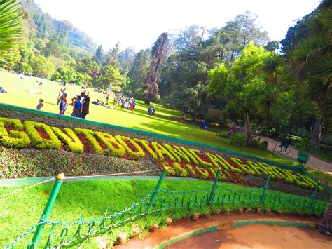 Ooty Package Best Travel Agency Odisha Since 1993 Bhubaneswar Tours 993 702 7574