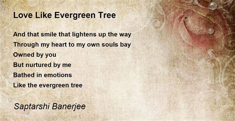 Love Like Evergreen Tree Love Like Evergreen Tree Poem By Saptarshi