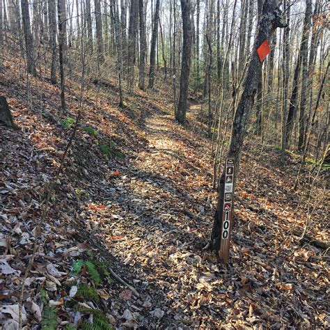 Laurel county jailtracker ky provides instant access to arrests 14