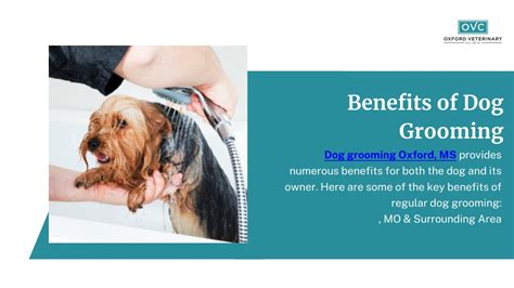 Ppt Benefits Of Dog Grooming Oxford Ms Powerpoint Presentation Free