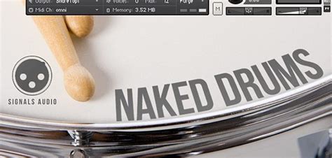 Wilkinson Audio Naked Drums Free Throughout May Bedroom Producers Blog
