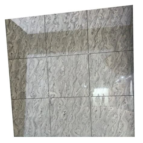 Double Charge Vitrified Floor Tiles Gloss At ₹ 29 Sq Ft In Thangadh