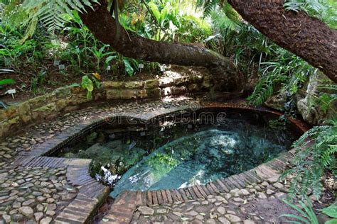 Botanical Gardens Cape Town Stock Photo Image Of Water Fountain