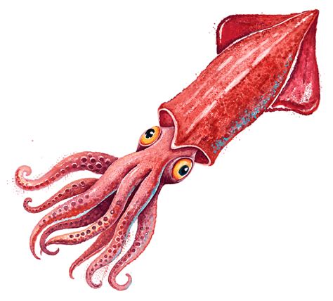 Тиксы. Рыбокомбинат Донской.