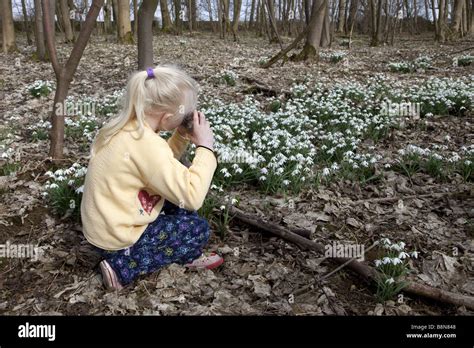 Junge blonde behaarte Mädchen fotografieren von gemeinsamen Schneeglöckchen an einem