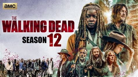 Complete Guide To The Walking Dead Season 12 Cast Plot And More Lcni6 City Portal