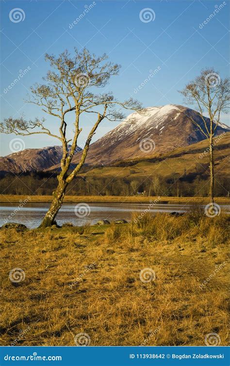 Kilchurn Castle in Winter Scenery- Scotland Stock Photo - Image of ...