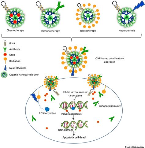 Organic Nanoparticle Based Combinatory Approaches For Gene Therapy