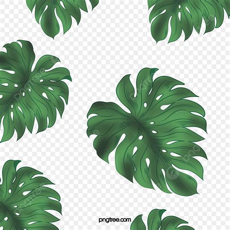 Hoja De Palma Png Clipart De Hoja Palma Hoja De Palma Png Png Y Psd