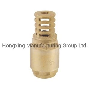 Brass Hot Stamped Female X Female Non Return Valve China Non Return