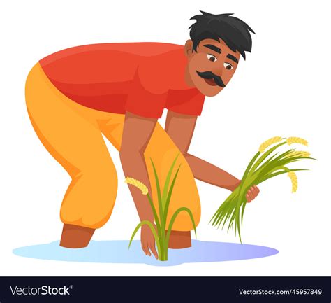 Asian farmer harvesting rice crop plantation Vector Image