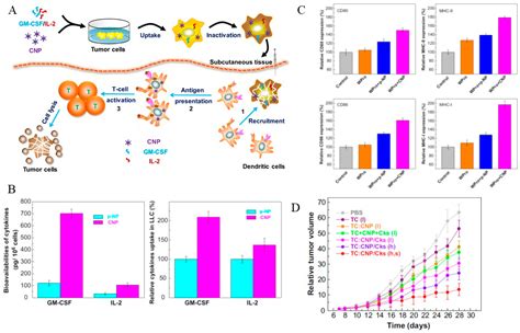 Cancers Free Full Text Cancer Immunotherapy And Application Of