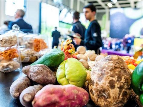 Il Meglio Dellortofrutta A Berlino Il Made In Italy Difende I Primati