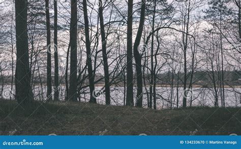 Naked Tree Branches In Late Autumn With No Leaves Vintage Retro Film Look Stock Photo Image