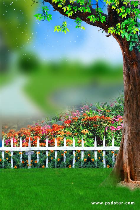 Nature Background Images For Editing Hd / Choose from over a million ...