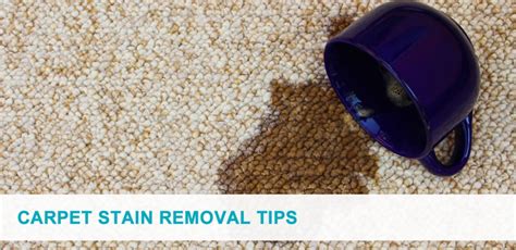 The Best Carpet Stain Removal Tips | Pro Carpet Cleaning Brisbane