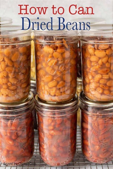 How To Can Beans With Pressure Cooker Artofit