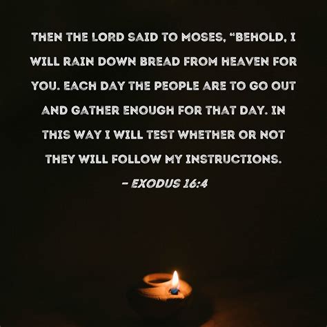 Exodus 164 Then The Lord Said To Moses Behold I Will Rain Down