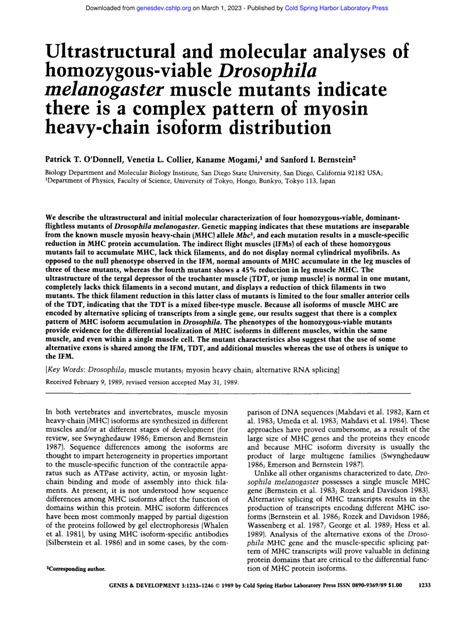 PDF Ultrastructural And Molecular Analyses Of Homozy Gous Viable