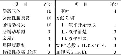 肠梗阻指数评分法 临床医学 医学