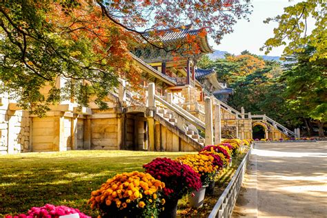 Bulguksa temple - Alidays