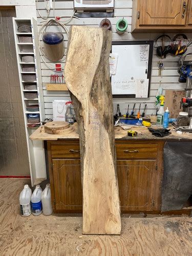 Wormy Spalted Maple Slab Big Ass Slabs