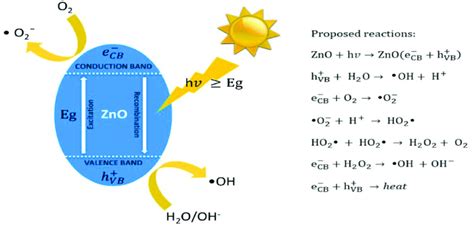 Schematic Representation Showing The Creation Of Reactive Oxygen