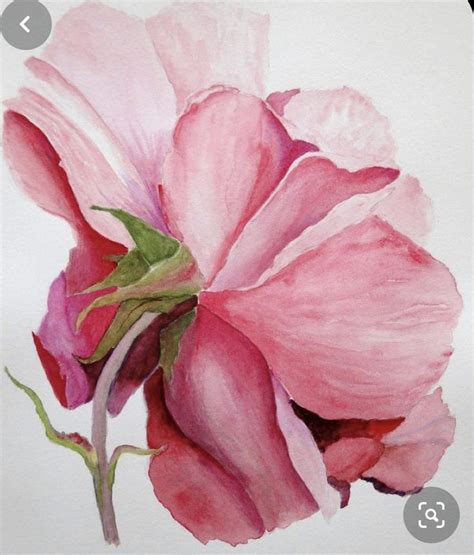 Pin By Kay Waldron On Painting Rose PINK Flower Art Painting